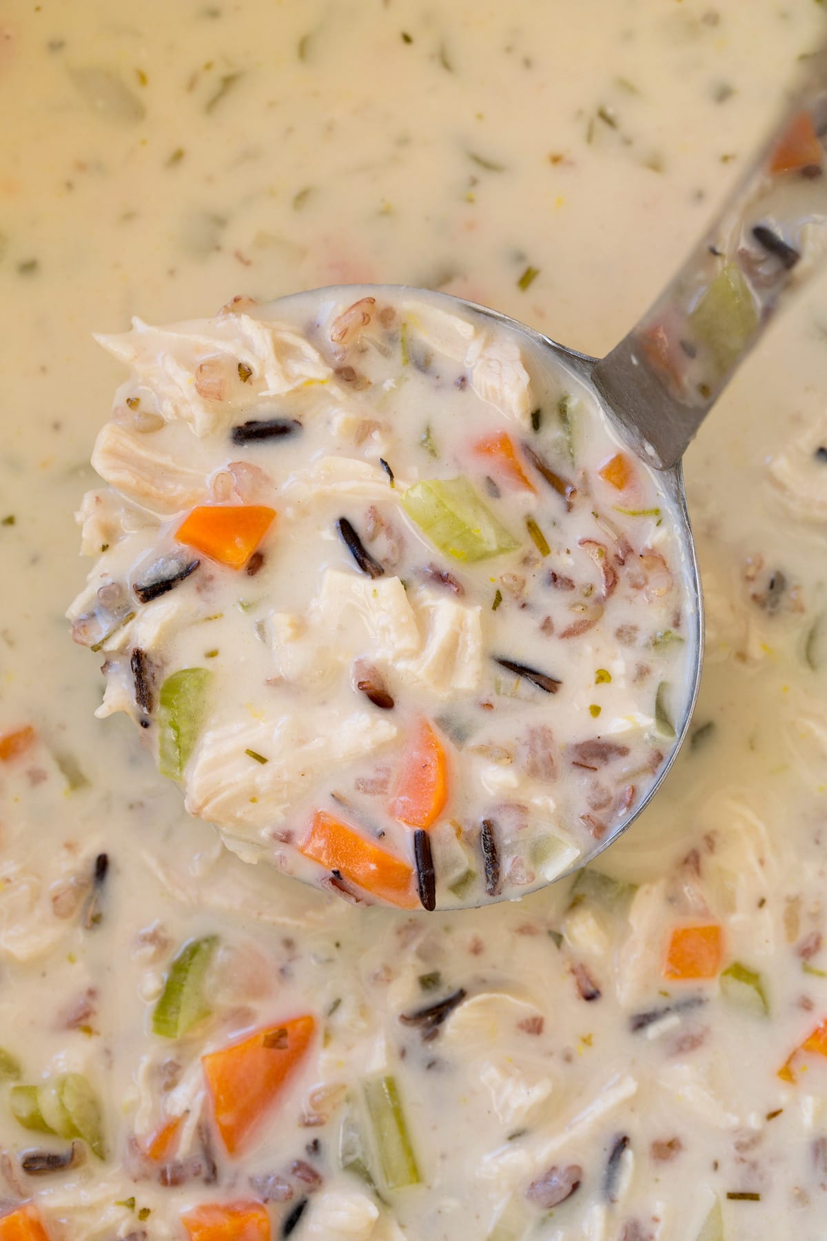 Overhead image of ladle full of chicken and wild rice soup.