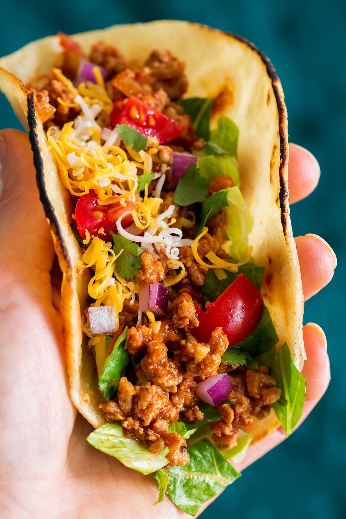 Photo: Hand holding a turkey taco shown from the side very close up.